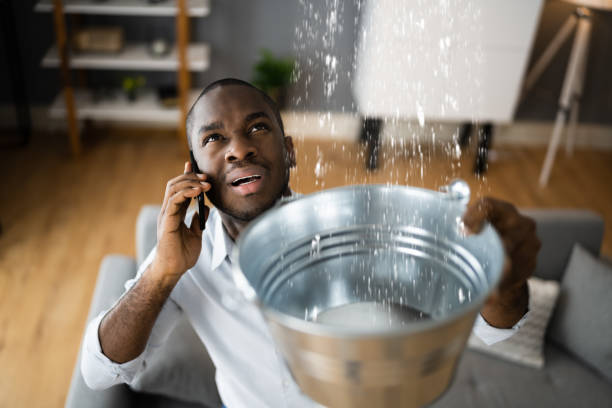 Best Residential water damage restoration  in Marshall, MI