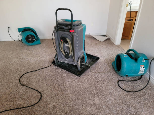 Trusted Marshall, MI Water damage restoration Experts