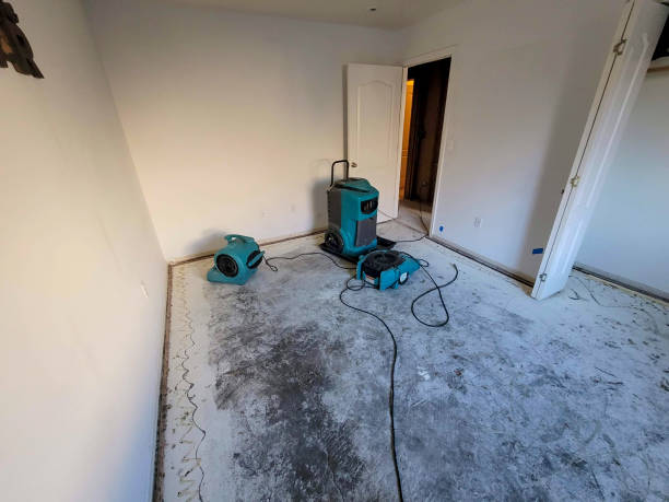 Best Flooded house restoration  in Marshall, MI