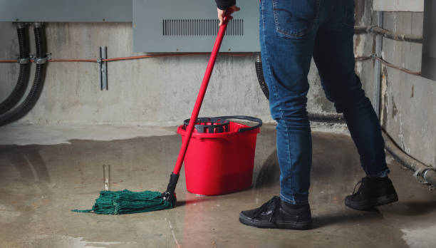 Best Sewage cleanup and water damage restoration  in Marshall, MI