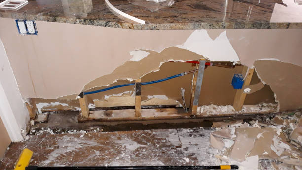 Best Flood damage cleanup  in Marshall, MI