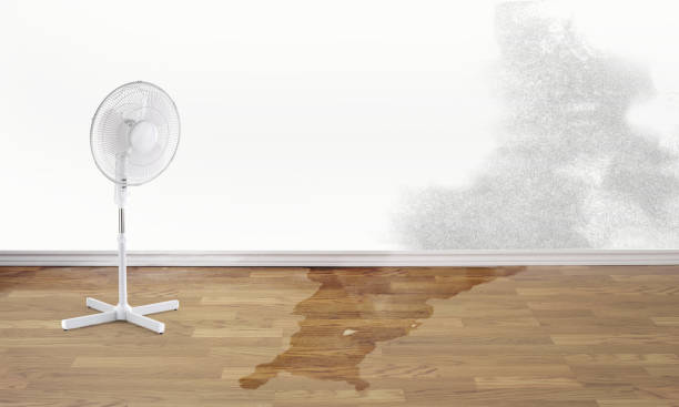 Marshall, MI Water damage restoration Company