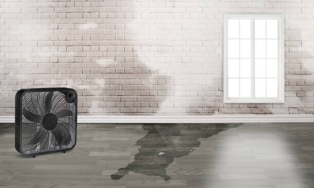 Best Ceiling water damage repair  in Marshall, MI