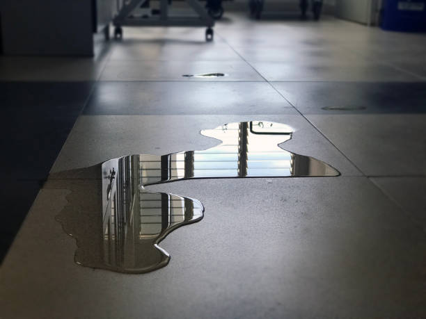 Best Water damage restoration cost  in Marshall, MI