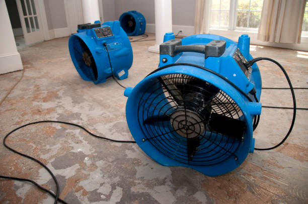 Best 24-hour water damage restoration  in Marshall, MI