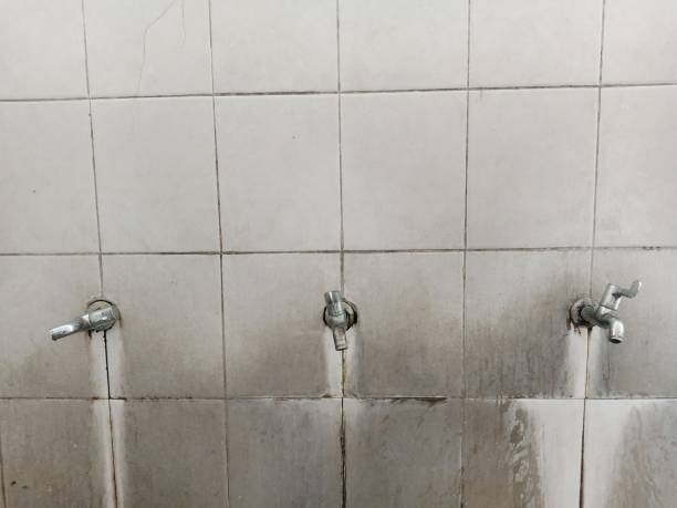Carpet water damage restoration in Marshall, MI