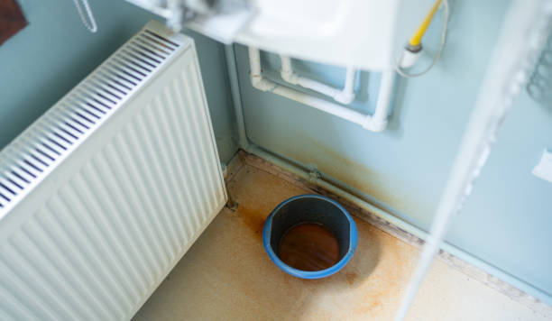 Best Water damage restoration near me  in Marshall, MI